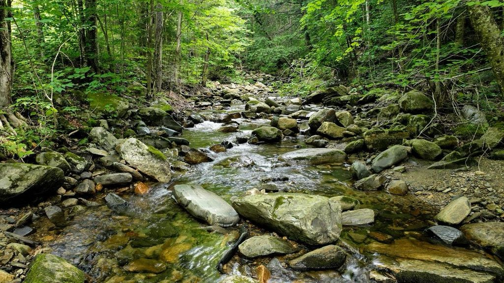 MHCT Acquires Key Link Between Awasos WMA and Okemo State Forest